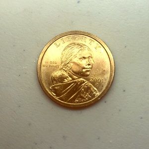 Native American & Sacagawea Dollar